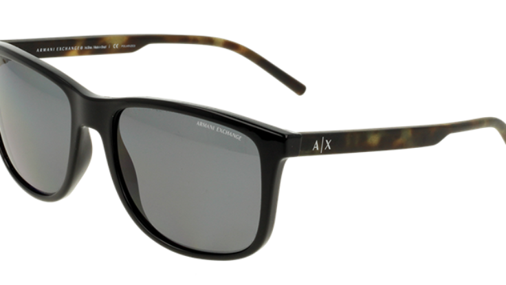 ARMANI EXCHANGE 4070S Erkek Güneş Gözlüğü